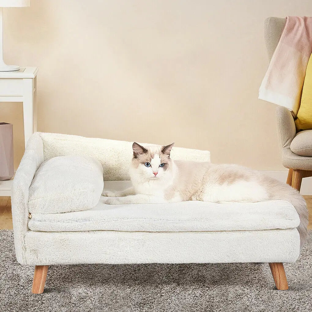 Pet Accessories